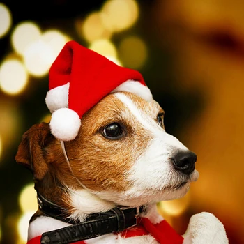 Pet Šuo, Katė Kalėdų kostiumai, Aksesuarai, Maži šunys, Katės Žiemą Šilta Kepurė Atostogų Kalėdų Šalis