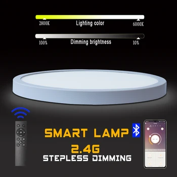 3 Spalvų 2.4 G Tolygus Reguliavimas LED Lubų šviestuvas, Miegamojo Smart Lempos 24/28/38/48w Interjero Lubų Šviesos su Nuotolinio Valdymo