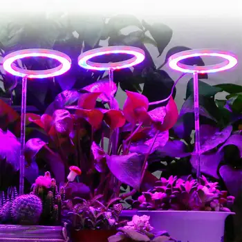 Usb Led Grow Light 1/2/3/4 Pritemdomi Visą Spektrą Žiedas Šviesos Augalų Auginimo Lempos Kambarinių Augalų Šviesos Palapinėje Vis Fito Lempos