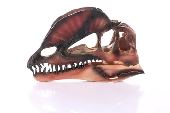Mokymo Priemonių karūna kaulų pirmaujančių kietas modelis dinozaurų kaukolės modelis Helovinas šalis dekoro nemokamas pristatymas režimas