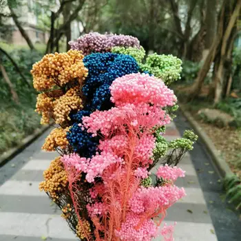 80g/30-40cm,Natūralūs Konservuoti Mi Gėlių Bouque,Ekranas Gėlių, Vestuvių Šalies Namų Dekoravimo reikmenys,organizuoti gėlės