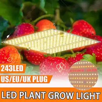 AC 100-277V Led Grow Light Led Pilno Spektro Lempa 234Led Augalų Lemputės Šiltnamiuose Patalpų Fito Lempa Auga Palapinė JAV, ES, AS Plug